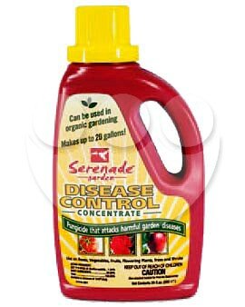 Kitchen: Serenade Disease Control Concentrate