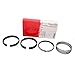 Mahle 50564CP.030 Engine Piston Ring Set