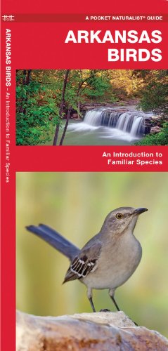 Arkansas Birds: An Introduction to Familiar Species (State Nature Guides)