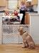 Doors/Gates Diamond Wire Mesh Pet Gate