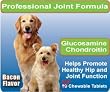 Glucosamine Chondroitin for Dogs - 90 + 30 Free - 120 Total Chewable Tablets