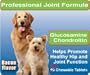Glucosamine Chondroitin for Dogs - 90 + 30 Free - 120 Total Chewable Tablets