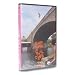 DVD : Jump Off a Building