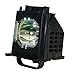 AuraBeam Mitsubishi WD-73735 TV Replacement Lamp with Housing