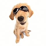 DOGGLES ★ BLACK ILS SUNGLASSES ★ UV PROTECTIVE EYEWEAR ★ ALL SIZES (Medium)