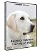 labrador8  - Labrador Retriever Training on Video