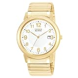 Citizen Eco-Drive Mens Gold-Tone Stainless Steel Watch #BM6042-91A by Citizen