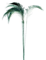 Pack of 12 Regal Peacock Feather Sprays 24" Crafting Decorations