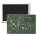 Plants of the Machair, 2008 (oil on canvas) .. - 3x2 inch Fridge Magnet - large magnetic button - Magnet