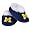 Michigan Wolverines