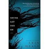 Never Let You Goby Erin Healy
