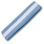 Single Striped Sports Headband (5 Colors Available)