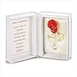 Tribute To My Mother Red Rose