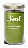 Seed? Green  Apple Orchard  Soy Candle, 18.5-Ounces Jars (Pack of 2)