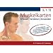 Muskelkarten: Erfassen / Verstehen /  Anwenden
