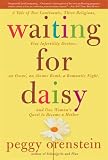 Waiting for Daisy: A Tale of Two Continents, Three Religions, Five Infertility Doctors, an Oscar, an Atomic Bomb, a Rom