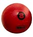 Bell Fitness Medicine Ball   (Red 8-Pound)
