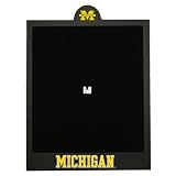 Michigan Wolverines Officially Licensed Dartboard Backboard