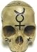 "Seal Of Solomon" Human Skull Statue Witchcraft Pagan
