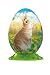 Puzzleball 94810-1 Osterei 30 Teile Motiv Hase