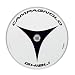 Campagnolo Ghibli Strada Road Bicycle Rear Disc Wheel - WH6-GHR28X