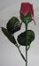 Long Stem Single VELVET Silk Rose Flower - Wedding Flowers - Bridal/Floral - Dusty Rose