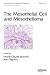 mesothelioma10 - The Mesothelial Cell and Mesothelioma Lung Biology in