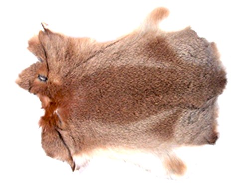 X-Large Natural Top Grade Rabbit Fur Pelt Skin Taxidermy 18