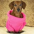 schnittmuster hund