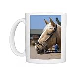 Hackamore, England, United Kingdom, Europe Photo Mugs
