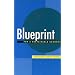 Blueprint 6: For a Sustainable Economy (Blueprint Series)