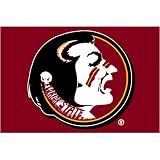 Florida State Seminoles NCAA Tufted Rug (20x30)