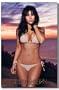 Kim Kardashian Sexy Bikini 22-by-34-Inch Poster