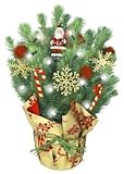 Live Tabletop Christmas Tree with Christmas Decorations & Lights