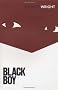 Black Boy: A Record of Youth and Childhood (Vintage classics)