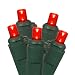 Set of 20 Battery Operated Red LED Wide Angle Christmas Lights - Green Wire