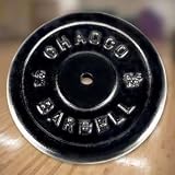 STANDARD SIZE CHIP RESISTANT BLACK PLATE, 45 LBS