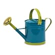 17" Bold Retro Steel Blue Decorative Garden Watering Can