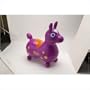 Gymnic Rody Horse Purple