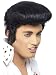 Fancy Dress Up Accessories - Official Licensed Elvis Presley Deluxe High Quiff Wig For Adults!