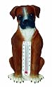 Boxer Thermometer