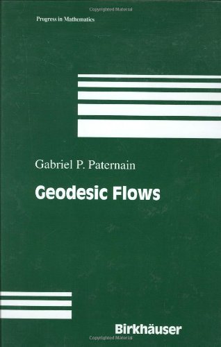 Geodesic Flows (Progress in Mathematics)