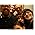Miniaturansicht von The Decemberists