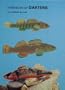 Handbook of Darters