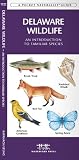 Delaware Wildlife: An Introduction to Familiar Species (A Pocket Naturalist Guide)