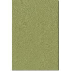 Bean Bag Green Leather