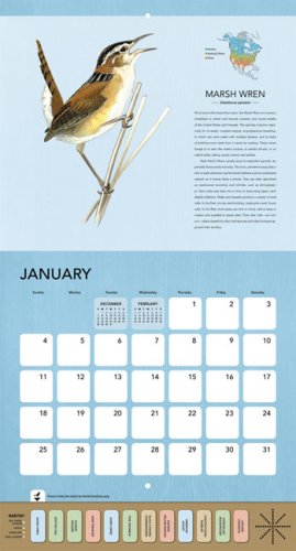 Bird Songs 2009 Wall Calendar under Animals in The Books Store