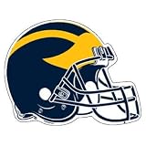 Michigan Wolverines Set of 2 Helmet Car Magnets **