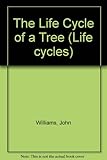 The life cycle of a tree