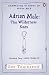 Adrian Mole: The Wilderness Years (Adrian Mole 4)